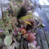 Herfst op tafel - 12/10/2024