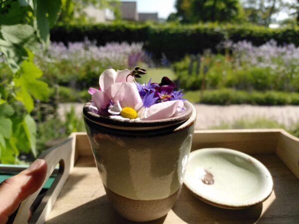 Bloemen- en kruidenateliers - woensdag namiddag