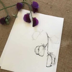 Portret van een bloem - 19/07/2025