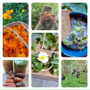 Kruidige BloemenBrouwsels en een Vaas vol Bloemen - 28/08/2025