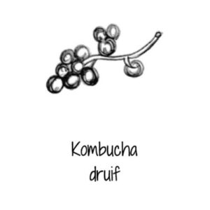 Kombucha druif