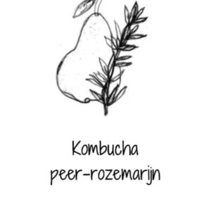 Kombucha peer & rozemarijn