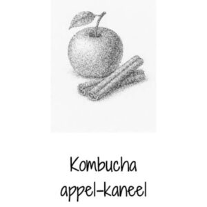 Kombucha appel & kaneel