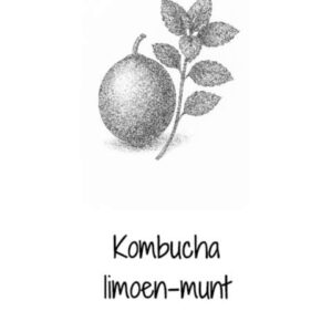 Kombucha limoen & munt