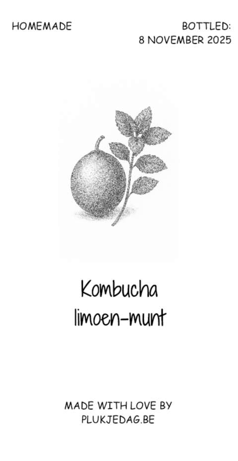 Kombucha limoen & munt