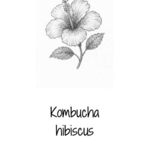 Kombucha hibiscus