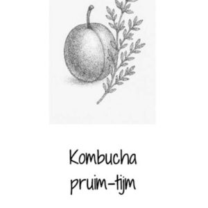Kombucha pruim & tijm